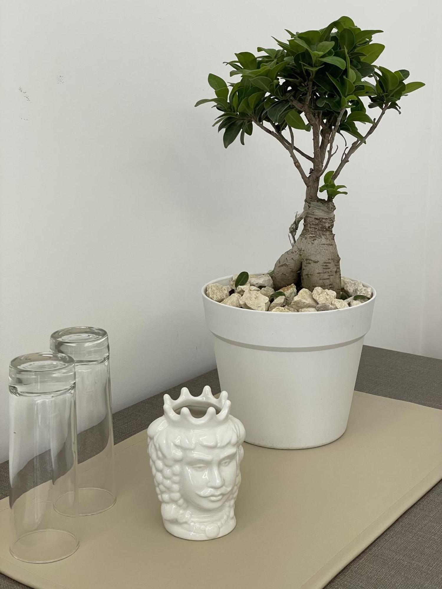 Paradise Sicily Rooms Calatabiano Εξωτερικό φωτογραφία